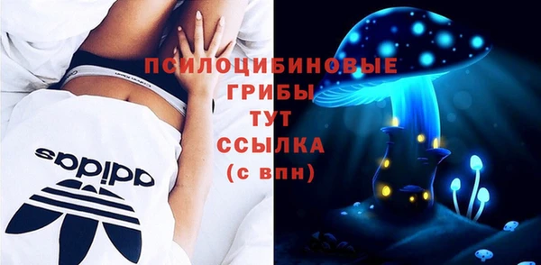 гидропоника Медногорск