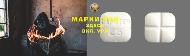 спайс Мегион