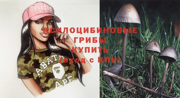 бутират Лихославль