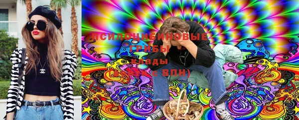 спайс Мегион