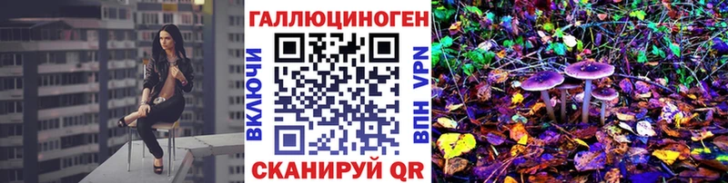 блэк спрут вход  Якутск  Галлюциногенные грибы Psilocybe 